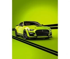 Schuco 1:18 Ford Mustang GT500 Green 24 Schuco 1:18 Ford Mustang GT500 Green -Spielzeugverkauf 1 18 ford mustang gt500 green 421181240 en 10