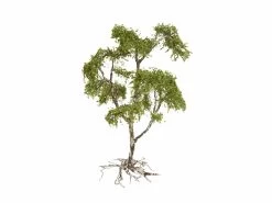 Noch 48001 TT Vergessener Ort Brunnen -Spielzeugverkauf TT Vergessener Ort Brunnen Noch 48001 b 3